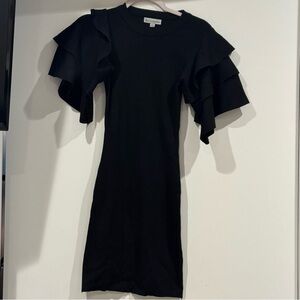 Stylish Black Ruffle Sleeve Dress